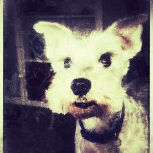 Meet your Posher, Betty-rose